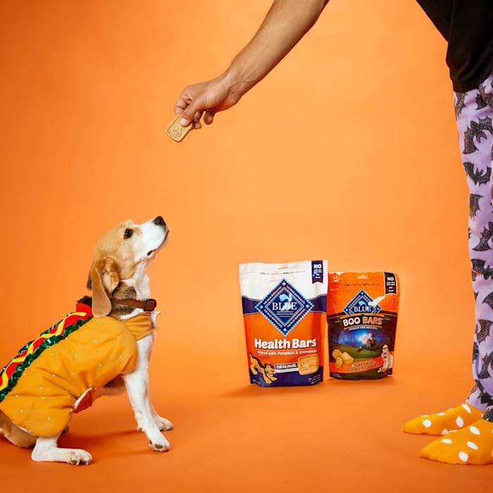 Blue Buffalo Health Bars Pumpkin & Cinnamon Dog Biscuits, 16 oz | Oven-Baked, Crunchy Texture, No Chicken By-Product, Corn, Wheat, or Soy
