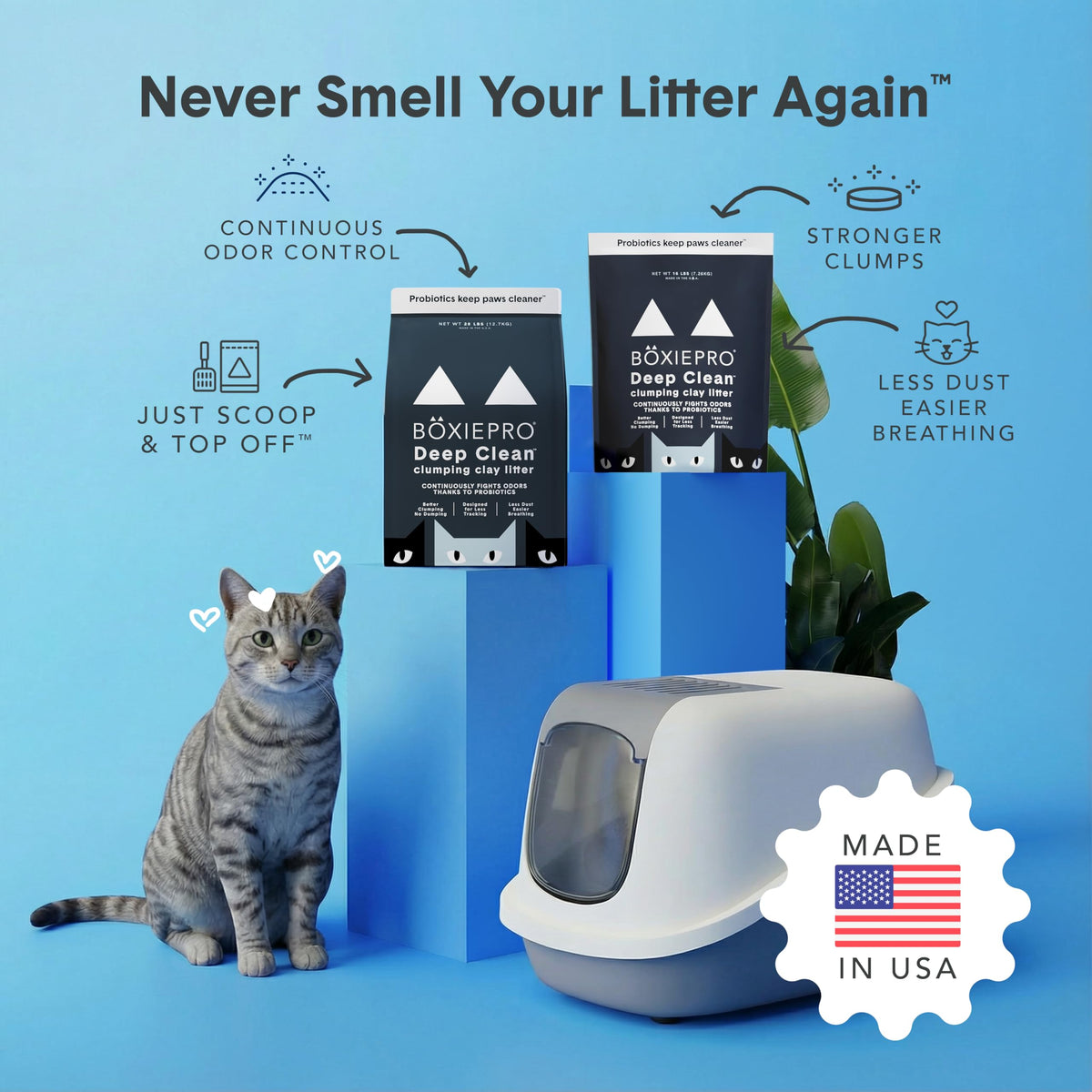 Boxie Probiotic Clumping Cat Litter 40+ Day Odor Control Dust Free 16 lb | Hard Flat Top clumps stay on top for fast scooping and less scrubbing; no added fragrance, fillers, or harsh chemicals