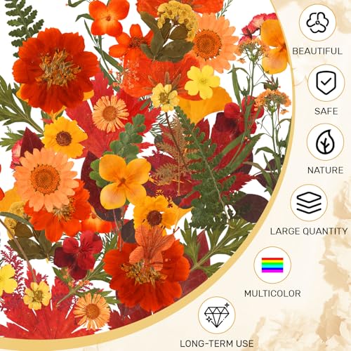 Augshy Fall Dried Pressed Flowers and Leaves for Autumn Crafts Resin DIY | Real Pressed Flowers, Ideal for Scrapbooking Candle Making,Autumn Foliage Colors,100 Pcs Craft Set