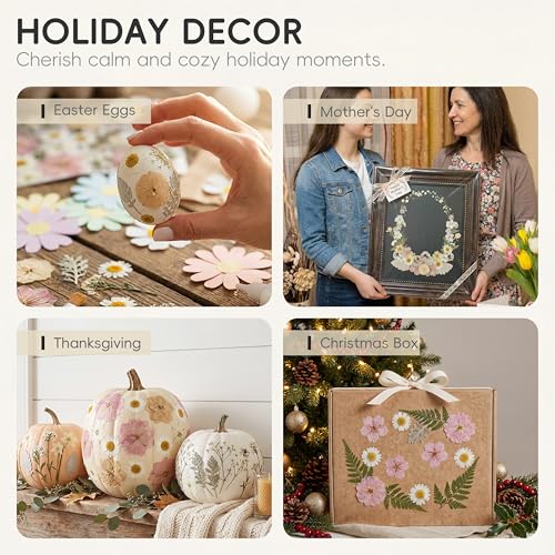 LUXEEASE 80P White Pink Dried Pressed Flowers | Ivory white palette, fits any project, blush butter hints, for wedding resin jewelry scrapbook frame decor, tweezers included