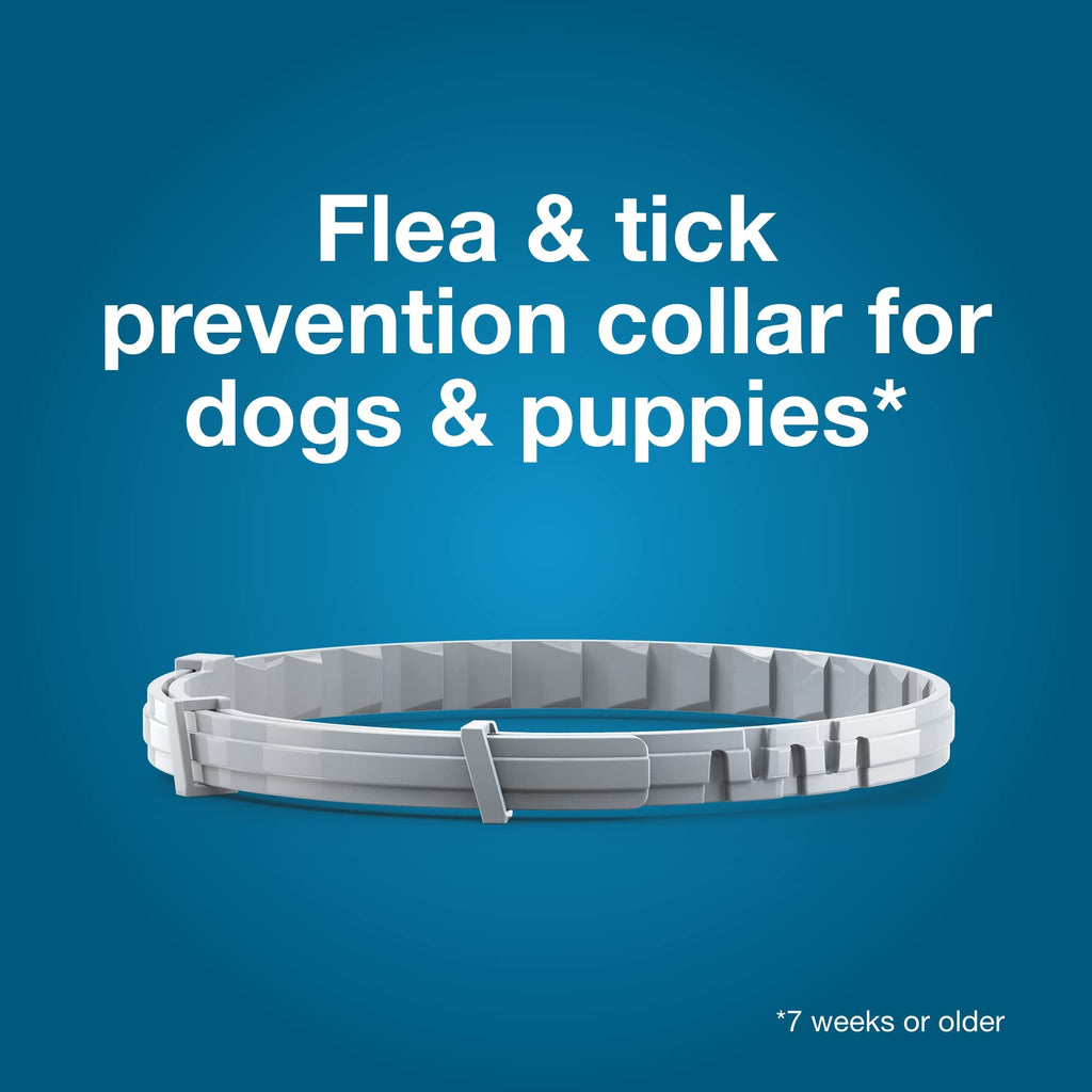 Seresto 8-Month Flea & Tick Collar for Large Dogs Over 18 lbs., 1ct