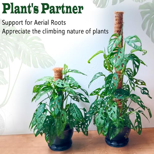 4 Pack 22 Inch Moss Poles, Stackable Moss Pole for Plants Monstera, 70 Inch Tall Moss Poles for Climbing Plants Indoor, Coir Totem Plant Support Stakes Stand for Potted Plants, Pothos