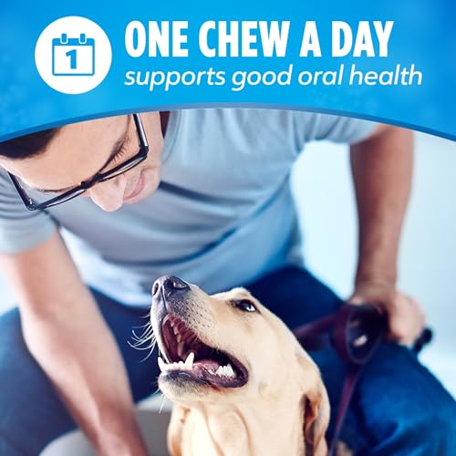 Dentalife Purina Daily Dental Chews for Large Dogs, 18 ct Pouch | Chewy, ridged texture in a tasty chicken flavor, helps reduce tartar buildup and help freshen breath