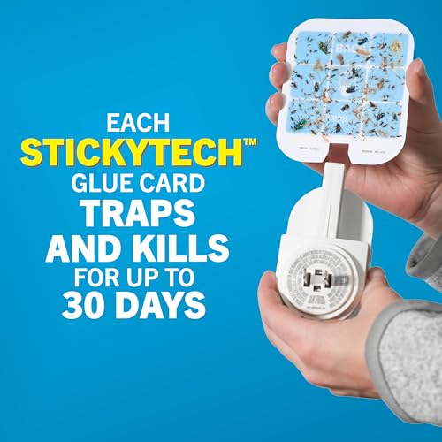 Safer Home Flying Insect Trap, Plug-In Fruit Fly Trap for Indoors, 1-Pack | Flying Insect, Moth, & Gnat Trap, Fruit Fly Killer, Fly Catcher, 24/7 Catch, Chemical-Free, 1 Trap + 2 Glue Cards, SH502