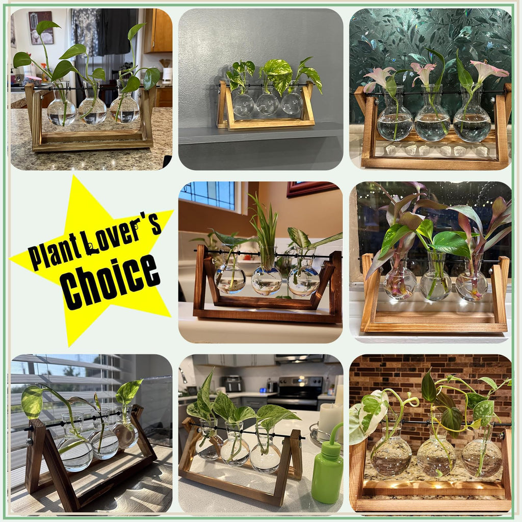 XXXFLOWER Plant Terrarium with Wooden Stand, Air Planter Bulb Glass Vase Metal Swivel Holder Retro Tabletop for Hydroponics Home Garden Office Decoration - 3 Bulb Vase