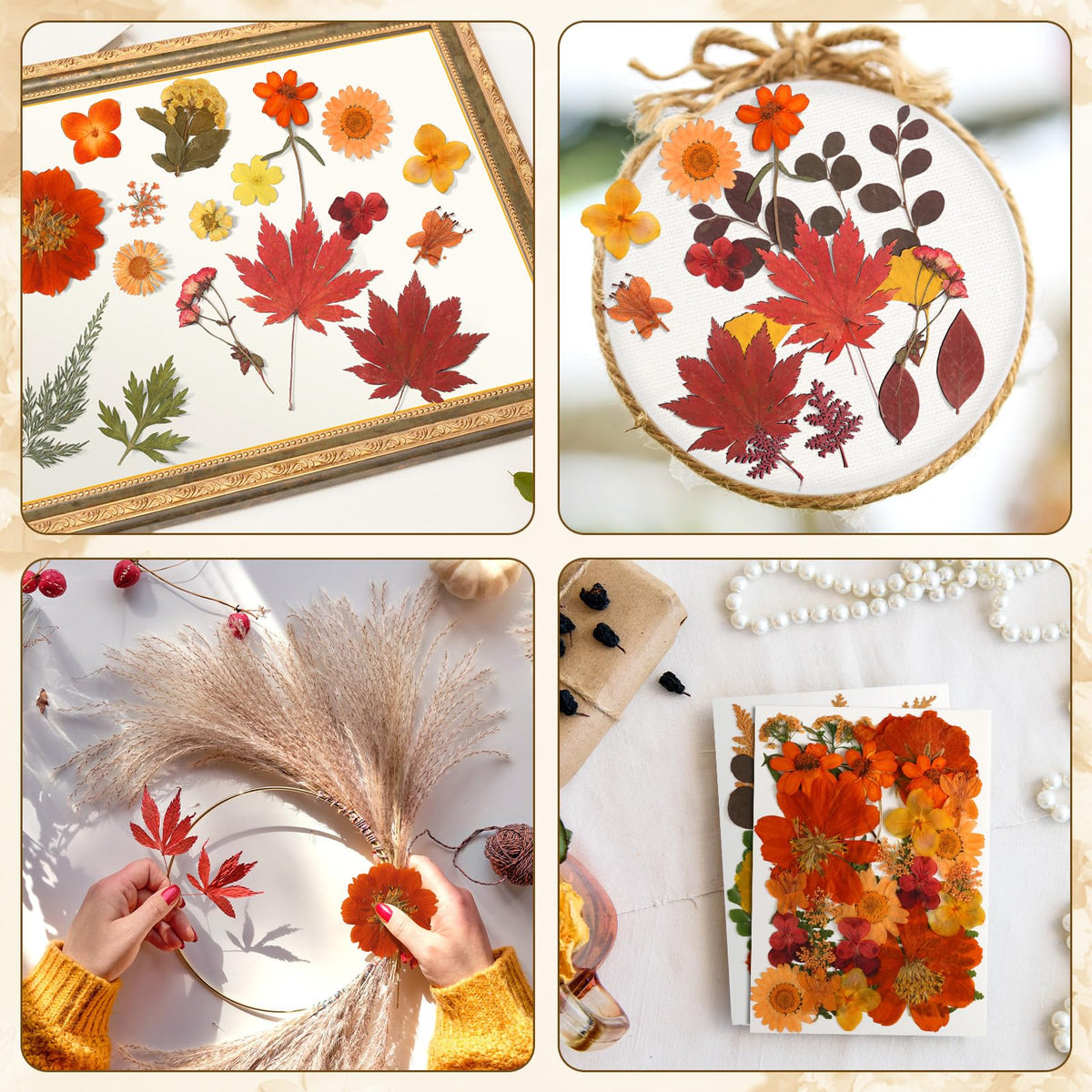 Augshy Fall Dried Pressed Flowers and Leaves for Autumn Crafts Resin DIY | Real Pressed Flowers, Ideal for Scrapbooking Candle Making,Autumn Foliage Colors,100 Pcs Craft Set