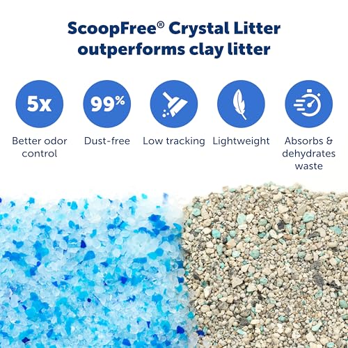 PetSafe ScoopFree Disposable Crystal Cat Litter Tray, Fresh Scent, 3 Pack | No-Scoop Crystal Cat Litter, 5x Faster Odor Control, 99% Dust-Free, Easy Cleanup, Leak-Proof Disposable Tray Refill with Lid