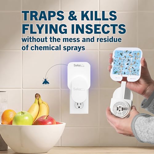 Safer Home Flying Insect Trap, Plug-In Fruit Fly Trap for Indoors, 1-Pack | Flying Insect, Moth, & Gnat Trap, Fruit Fly Killer, Fly Catcher, 24/7 Catch, Chemical-Free, 1 Trap + 2 Glue Cards, SH502