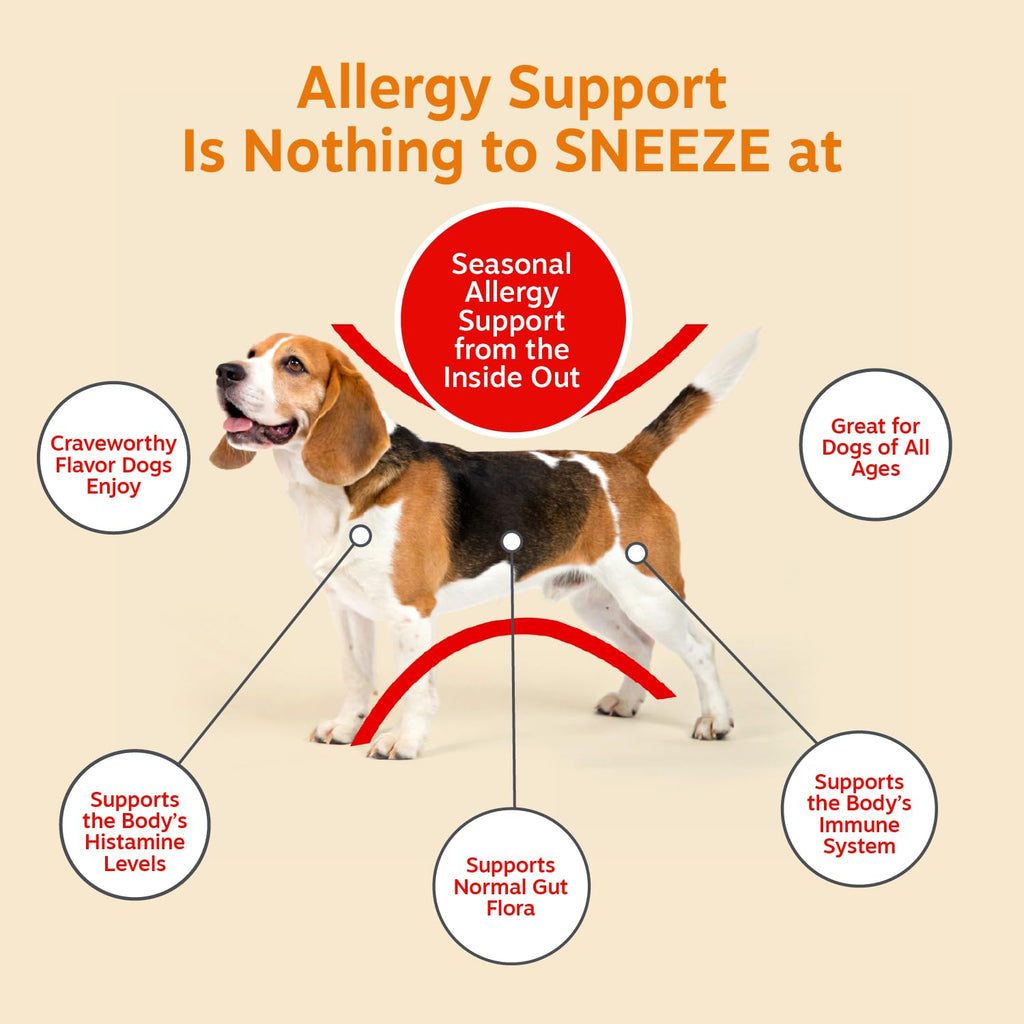 Zesty Paws Dog Allergy Chews - Dog Allergy Relief, Lamb, 90 Ct | Itch Relief for Dogs Soft Chews with Probiotics for Itchy Skin, Ears and Paws