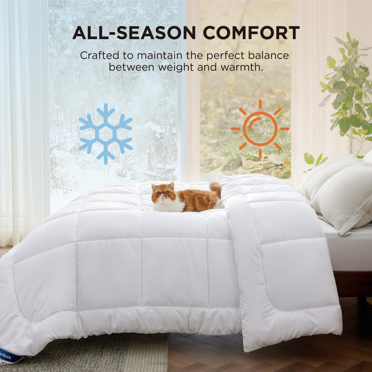Bedsure Comforter Duvet Insert, Quilted Bedding Blanket, Oeko-TEX | People & Editor-Tested Comforter, Down Alternative Fill, 8 Corner Tabs, Machine Washable, White, Queen, 88 x 88 Inches