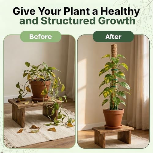 4 Pack 16" Moss Pole Monstera Plant Support - Stackable up to 48" | Plant Stakes for Indoor Climbing Plants Potted - Tall Coco Coir Pole Sticks & Accessories for Monstera, Pothos & Philodendron