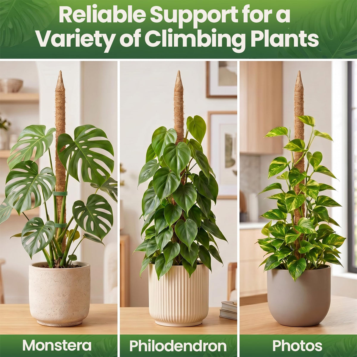 2Pcs 28'' Moss Pole Monstera Plant Support - Plant Stakes for Indoor Plants | Bendable Moss Poles for Climbing Plants, Tall Coco Coir Pole Sticks, Monstera Trellis