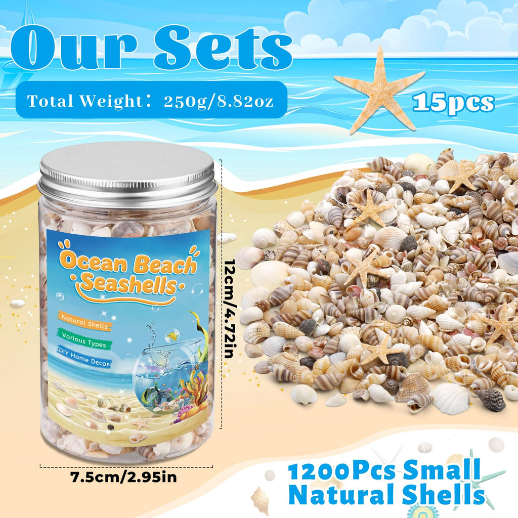 1200 Pcs Tiny Sea Shells, Seashells for Crafts with Small Shells Starfish | Mixed Ocean Beach Spiral Seashells for Beach Party, Fish Tank and Vase Filler, Wedding Decor, DIY Jewelry Candle Making