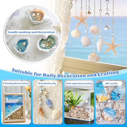 1200 Pcs Tiny Sea Shells, Seashells for Crafts with Small Shells Starfish | Mixed Ocean Beach Spiral Seashells for Beach Party, Fish Tank and Vase Filler, Wedding Decor, DIY Jewelry Candle Making