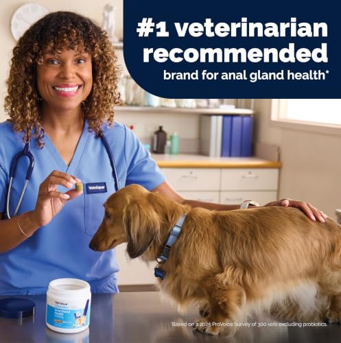 Vetnique Glandex for Dogs Anal Gland Chews 60ct Pumpkin + Digestive Enzymes | Anal Gland Dog Treats, Boot the Scoot + Fishy Odor Support, Fiber, Probiotics, Quercetin + Apple Pectin, Peanut Butter