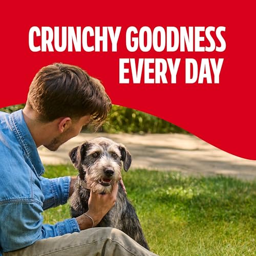 Milk-Bone Original Biscuits Medium Dog Treats, 24 Oz.