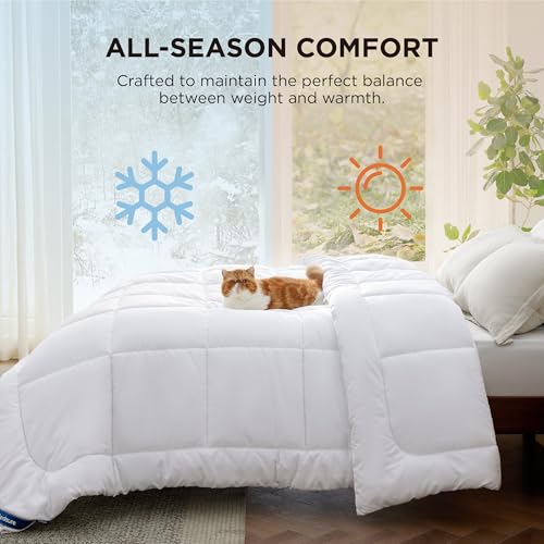 Bedsure Comforter Duvet Insert, Quilted Bedding Blanket, Oeko-TEX | People & Editor-Tested Comforter, Down Alternative Fill, 8 Corner Tabs, Machine Washable, White, Queen, 88 x 88 Inches