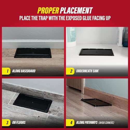 Catchmaster Rat & Mouse Glue Traps 10 Pack, Large Heavy Duty Sticky Traps | Extra Large Glue Trays For Rats, Mice, Snakes & Spiders, Ready To Use Indoor Pest Control For Home, Garage & Basement