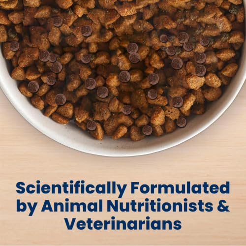 Blue Buffalo Life Protection Formula Chicken Small Breed Dry Dog Food, 5 lb | Real Chicken #1 Ingredient, Antioxidant-Rich LifeSource Bits, Supports Higher Energy Needs, Formulated for Small Breed Dogs