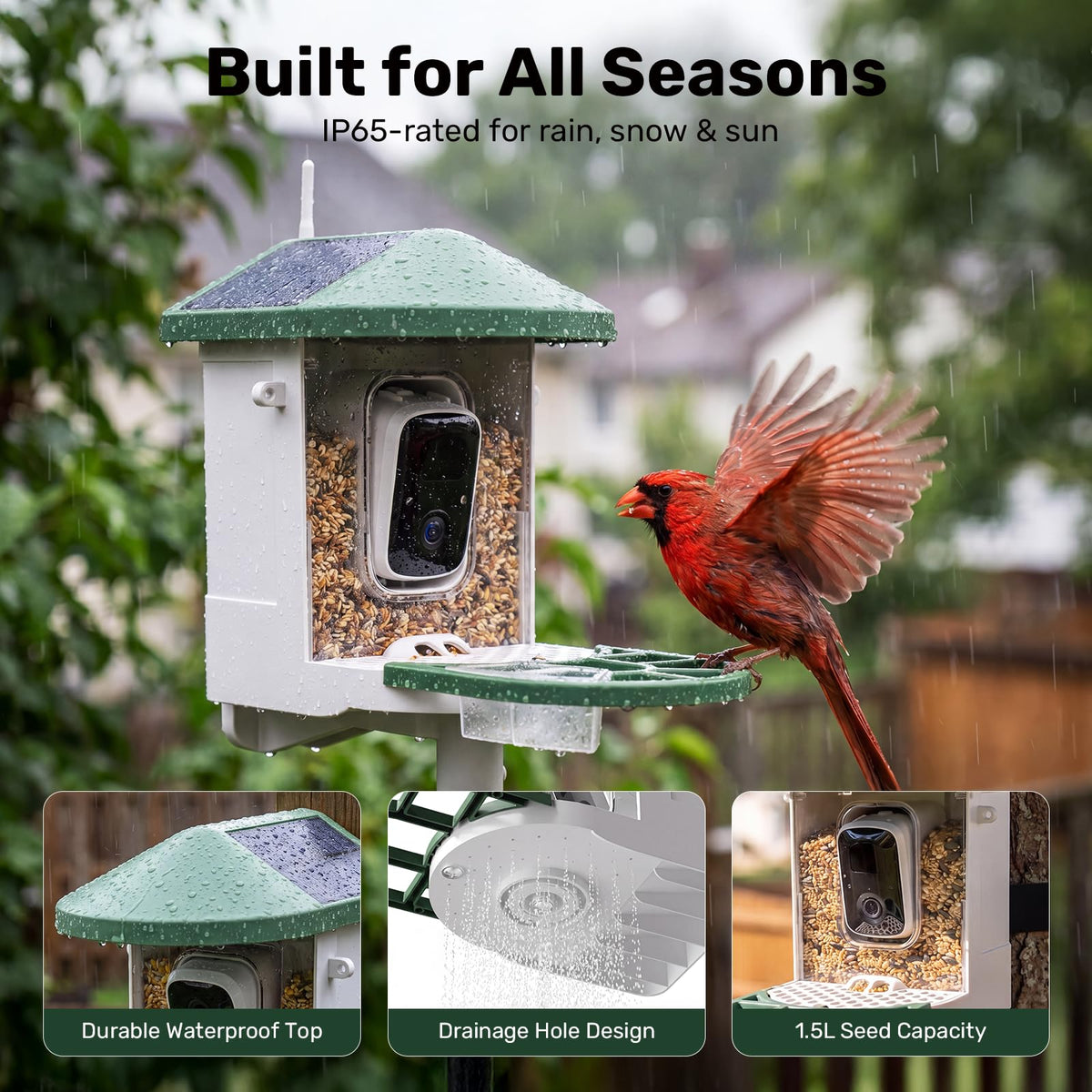 HARYMOR Smart Bird Feeder with Camera Solar Powered, 2K HD Live Video, 10,000+ Bird Species AI Identification, Wild Bird House Feeders for Outdoors, Instant Arrival Alerts, Ideal Gift for Bird Lovers