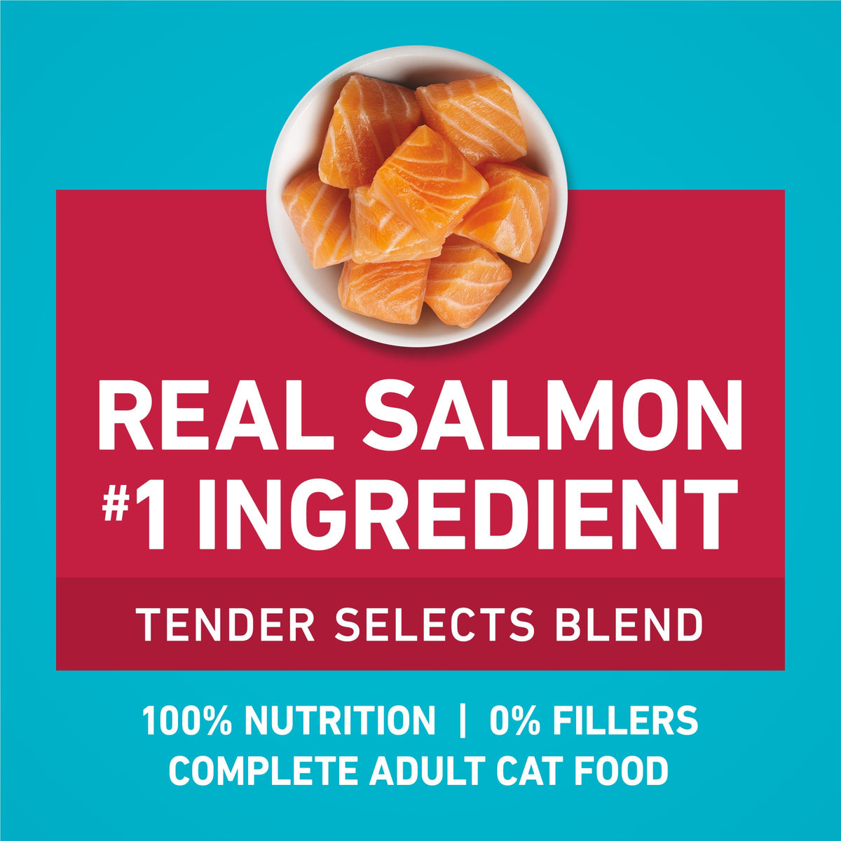 Purina ONE Tender Selects Dry Cat Food, Salmon, 7 lb Bag | Real salmon is the #1 ingredient made with carrots, peas, vitamins A and E for bright eyes, strong muscles and digestion