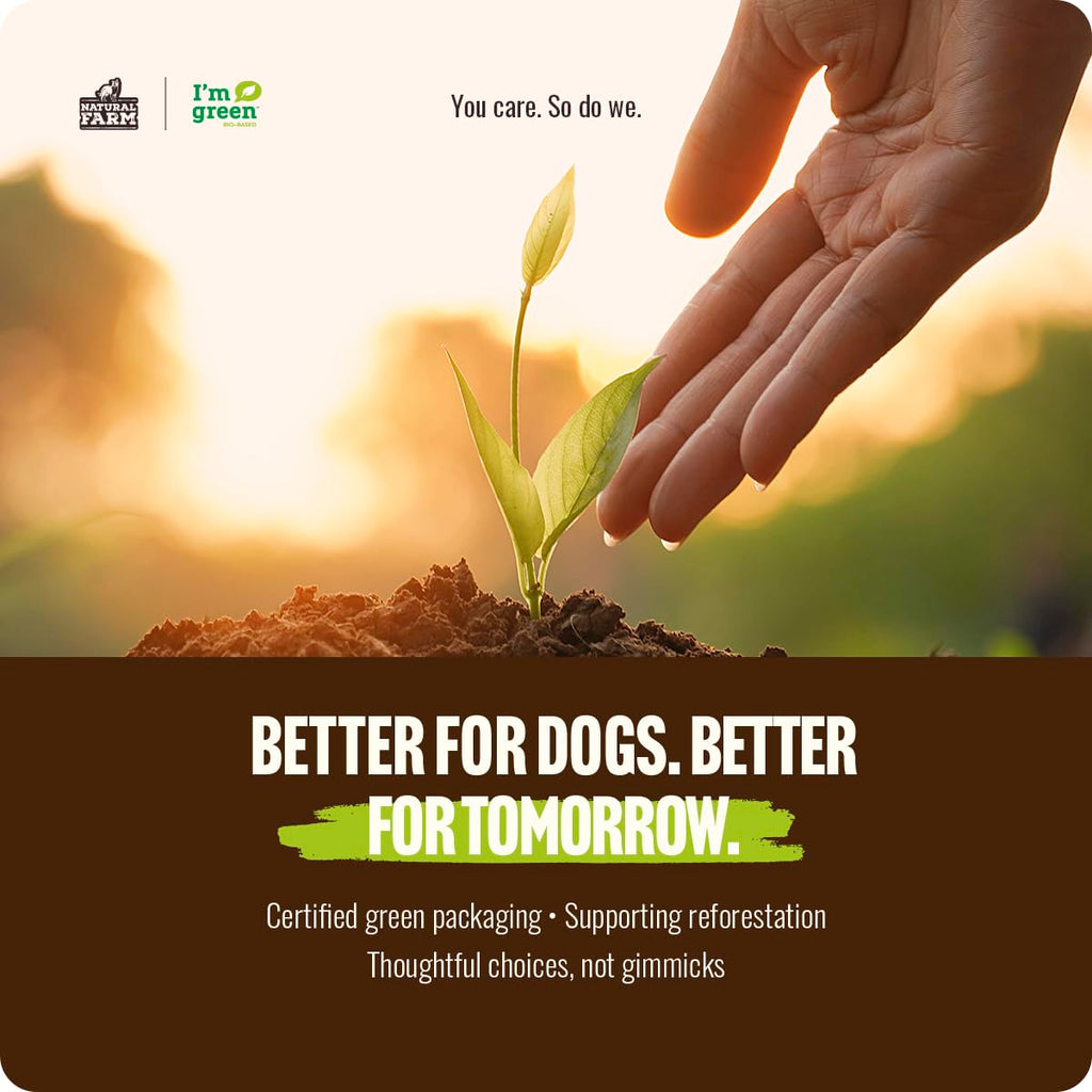 Natural Farm Odor-Free Bully Sticks for All Breeds, 6 Inch, 25 Count | Grass-Fed, Non-GMO, Grain-Free 100% Beef Pizzle. Single-Ingredient, Rawhide-Free, Fully Digestible, Long-Lasting