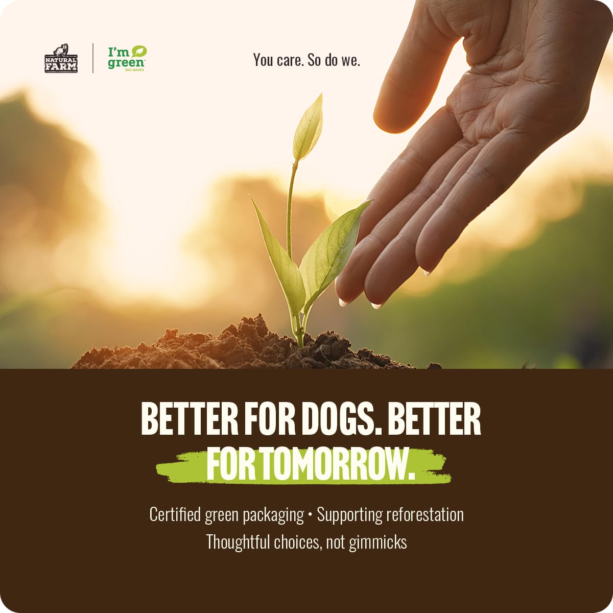 Natural Farm Odor-Free Bully Sticks for All Breeds, 6 Inch, 25 Count | Grass-Fed, Non-GMO, Grain-Free 100% Beef Pizzle. Single-Ingredient, Rawhide-Free, Fully Digestible, Long-Lasting