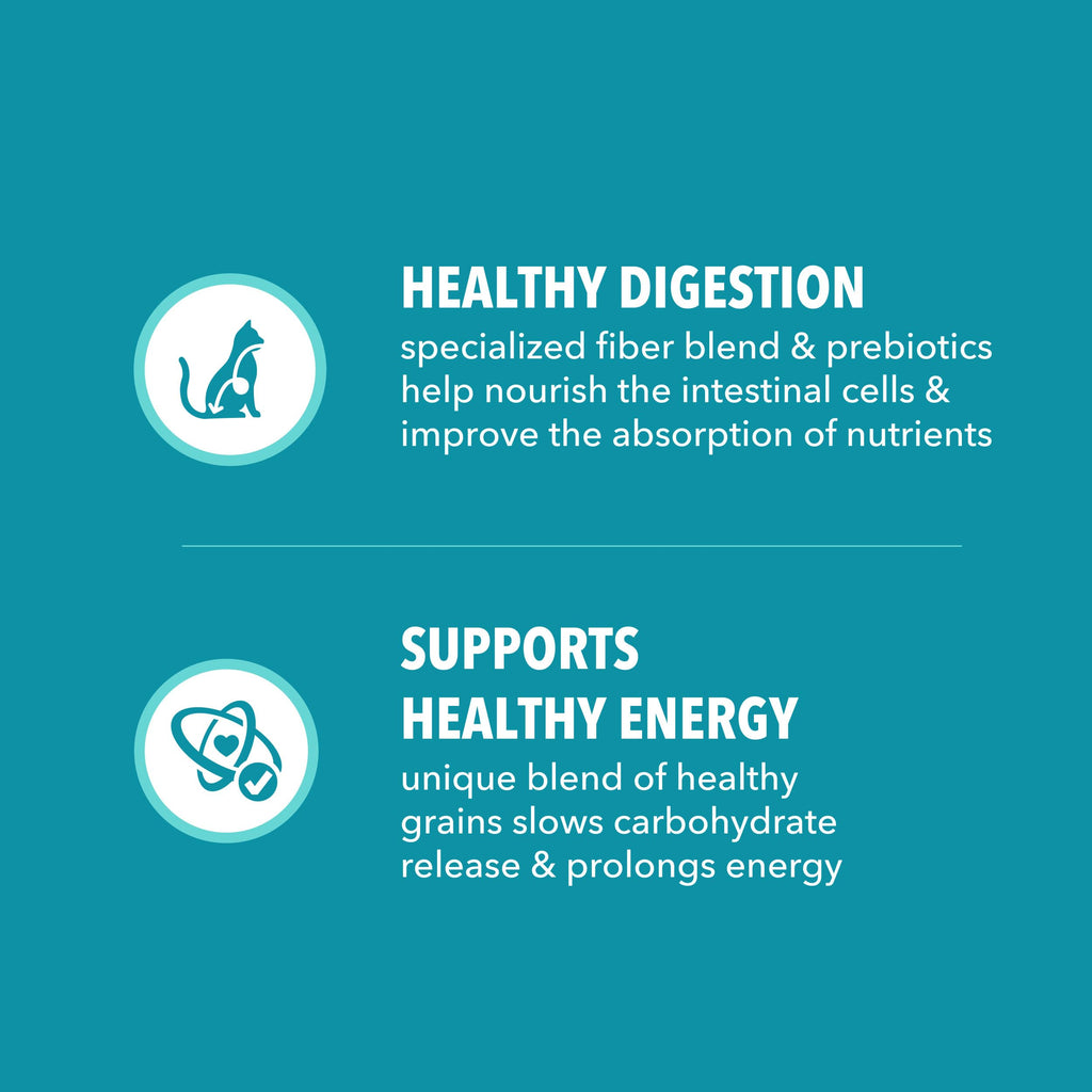 IAMS Proactive Health Indoor Dry Cat Food, Chicken & Turkey, 7 lb | Vet-recommended, Real Chicken #1 Ingredient, Proprietary Fiber Blend, Prebiotics for Healthy Digestion, Hairball Control