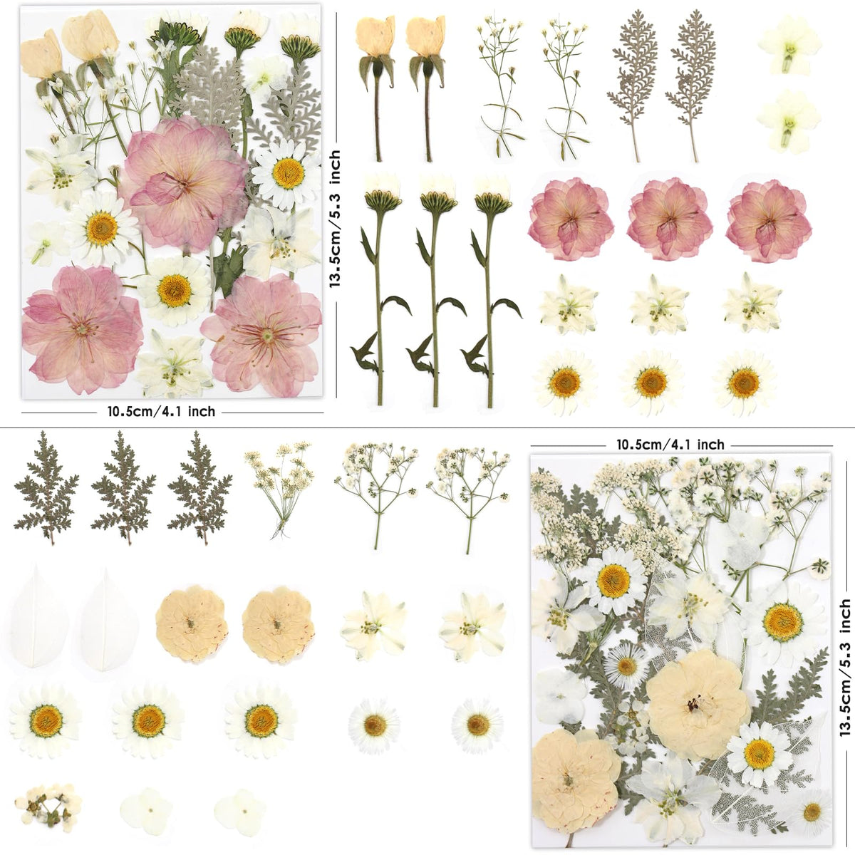 LUXEEASE 80P White Pink Dried Pressed Flowers | Ivory white palette, fits any project, blush butter hints, for wedding resin jewelry scrapbook frame decor, tweezers included