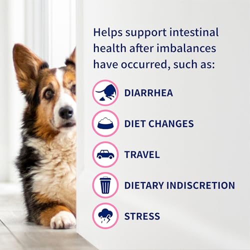 Nutramax Proviable Probiotics for Dogs & Cats, Sprinkle Capsules, 30ct | Probiotics for Cats and Dogs, Plus Prebiotics, Daily Gut Health Support Supplement, Multiple Strains, Sprinkle on Food
