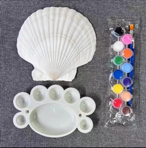 SEAJIAYI 10 PCS Large Scallop Shells 4-5 inch Natural White Scallop Shells from Sea Beach for DIY Craft Decor