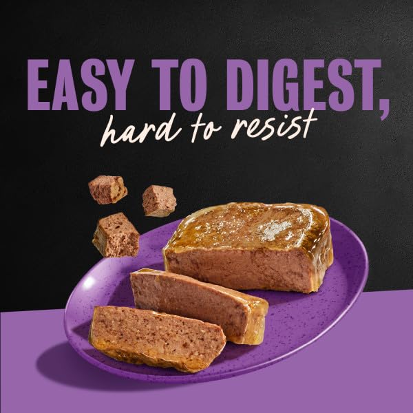 Cesar Classic Loaf in Sauce Wet Dog Food, Meaty Selects, 3.5 oz, 36 Count | Real meat #1 ingredient, no fillers or artificial flavors, formulated without grains, easy to digest, easy peel trays