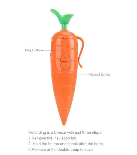 60-Second Voice Recorder with Playback & Audio Recorder Pen - Cute Carrot-Shaped Recorder Device, Smooth-Writing Ballpoint Pen - Fun & Creative Gift for Kids, Students, Teachers