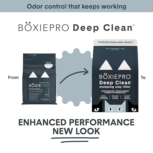 Boxie Probiotic Clumping Cat Litter 40+ Day Odor Control Dust Free 16 lb | Hard Flat Top clumps stay on top for fast scooping and less scrubbing; no added fragrance, fillers, or harsh chemicals