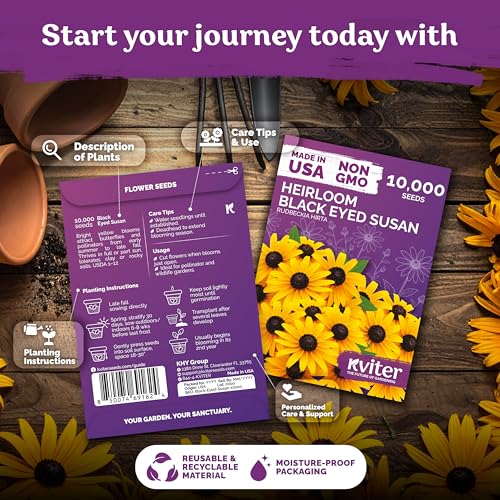 10,000 Black Eyed Susan Heirloom Flower Seeds for Planting, Rudbeckia Hirta | Gloriosa Daisy Wildflower Seeds, Flower Seeds for Planting Outside, Borders, Containers, Attracts Pollinators
