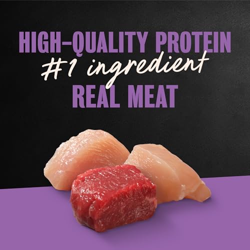 Cesar Classic Loaf in Sauce Wet Dog Food, Meaty Selects, 3.5 oz, 36 Count | Real meat #1 ingredient, no fillers or artificial flavors, formulated without grains, easy to digest, easy peel trays