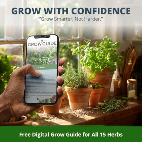 HOME GROWN 15 Herb Seed Variety Kit, 4300+ Seeds, Culinary Herb Kit | High Germination, Heirloom, Non-GMO | 4300+ Seeds | Indoor/Outdoor & Hydroponic | Culinary Herbs | Gardening Gift