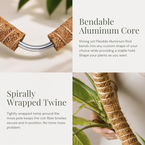 Imezos 2 Pack 30" Moss Pole for Plants – Moss Pole Monstera Plant Support | Bendable Plant Stakes for Indoor Plants – Moss Poles for Climbing Plants – Plant Sticks Support – Monstera Moss Pole Stakes