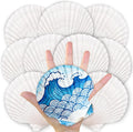10PCS Natural Large Scallop Shells for Crafts, 4-5 in White Sea Shells, DIY | Smooth, cleaned surfaces suit painting, resin art, candle making, baking displays, weddings, classrooms and ocean parties.