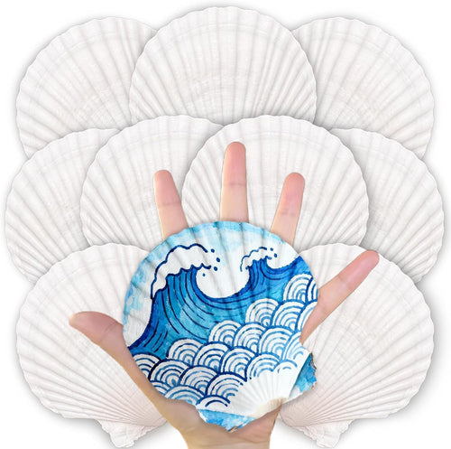 10PCS Natural Large Scallop Shells for Crafts, 4-5 in White Sea Shells, DIY | Smooth, cleaned surfaces suit painting, resin art, candle making, baking displays, weddings, classrooms and ocean parties.