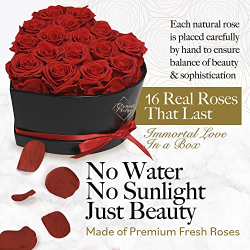 GLAMOUR BOUTIQUE Preserved Flowers, 16 Forever Red Roses in Heart Gift Box | Unique floral present for women, anniversary gifts for her, mom or wife, cute birthday idea, will you be my girlfriend box