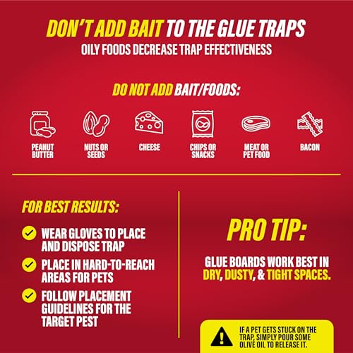 Catchmaster Max-Catch Glue Traps 36pk, Sticky Mouse Traps Indoor for Home | Bulk glue boards for mice & insects, pesticide-free sticky traps for spiders, crickets & roaches, home & garage pest control