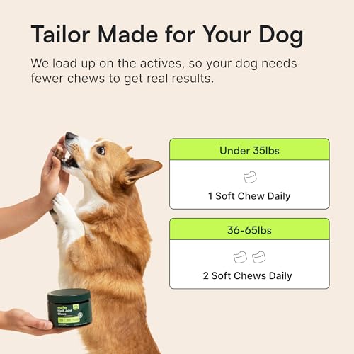 Wuffes Advanced Hip & Joint Chews for Small & Medium Breed Dogs, Vet Recommended, Glucosamine, Chondroitin, MSM, Green-Lipped Mussel & Hyaluronic Acid Supplement, Supports Mobility, 60 Pork Chews