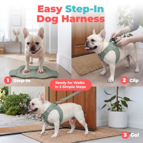 Voyager Step-in Air Dog Vest Harness - Moss Green, Small | 14.5-16" in Chest, Reflective Bands, All Weather Breathable Air Mesh, Cats Compatible, Lightweight, Fast Drying