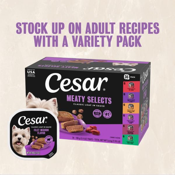 Cesar Classic Loaf in Sauce Wet Dog Food, Meaty Selects, 3.5 oz, 36 Count | Real meat #1 ingredient, no fillers or artificial flavors, formulated without grains, easy to digest, easy peel trays