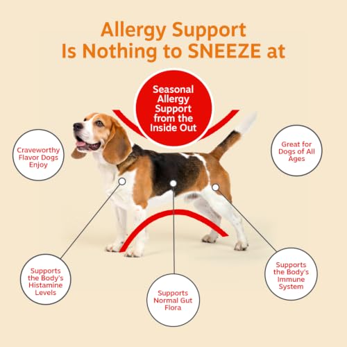 Zesty Paws Dog Allergy Chews - Dog Allergy Relief, Lamb, 90 Ct | Itch Relief for Dogs Soft Chews with Probiotics for Itchy Skin, Ears and Paws