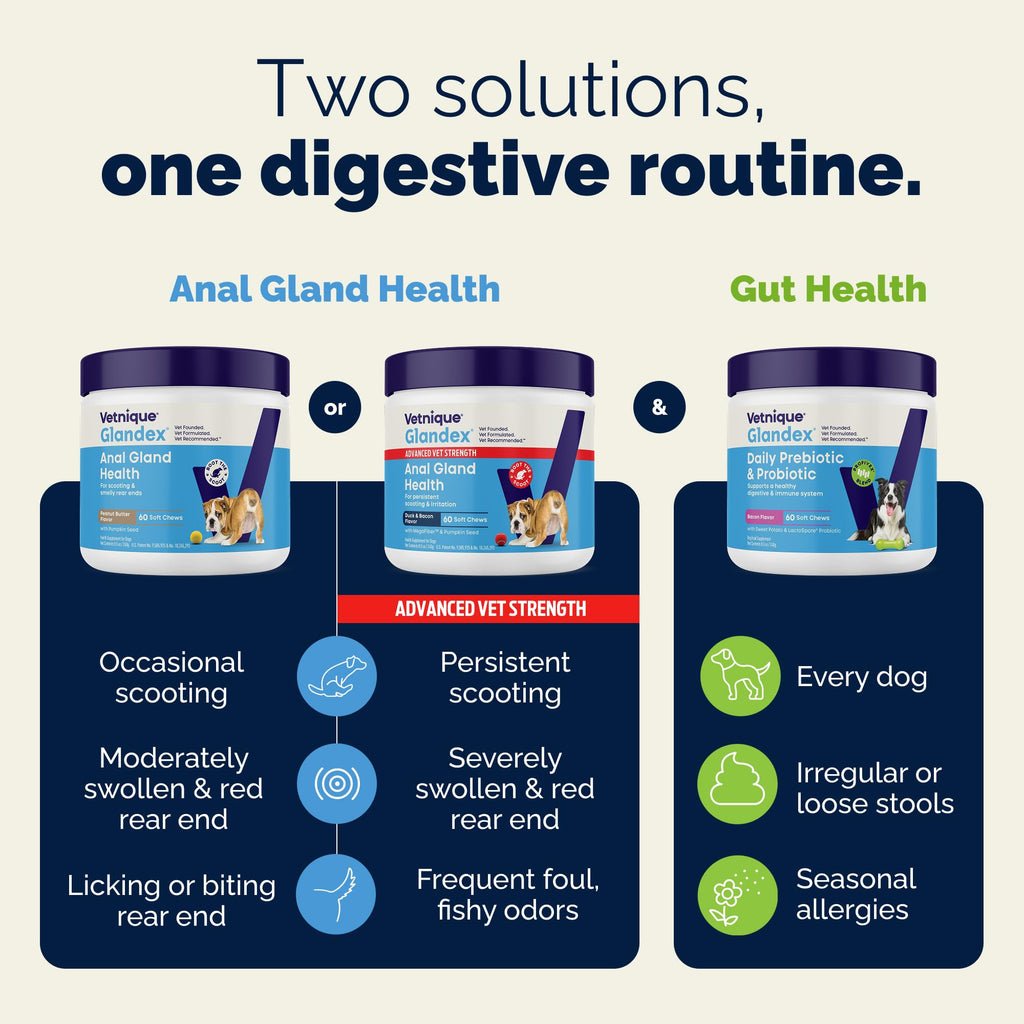 Vetnique Glandex for Dogs Anal Gland Chews 60ct Pumpkin + Digestive Enzymes | Anal Gland Dog Treats, Boot the Scoot + Fishy Odor Support, Fiber, Probiotics, Quercetin + Apple Pectin, Peanut Butter