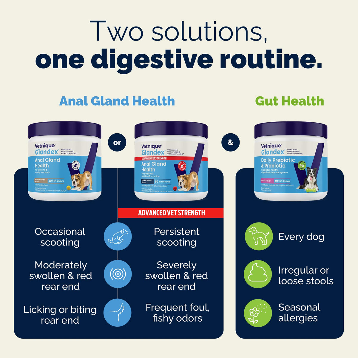 Vetnique Glandex for Dogs Anal Gland Chews 60ct Pumpkin + Digestive Enzymes | Anal Gland Dog Treats, Boot the Scoot + Fishy Odor Support, Fiber, Probiotics, Quercetin + Apple Pectin, Peanut Butter