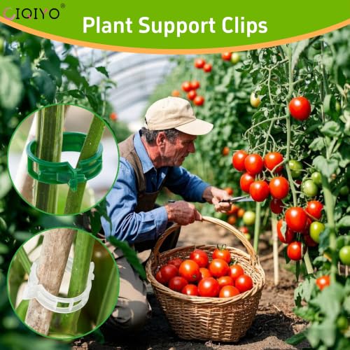 CIQIYO 100 Pcs Plant Support Clips,Plastic Clips for Securing Plants | Plant Fixing Clips,Tomato Vine Clips,Garden Clips for Climbing Plants,Grape and Vine Vegetables,Reusable(100, Green)
