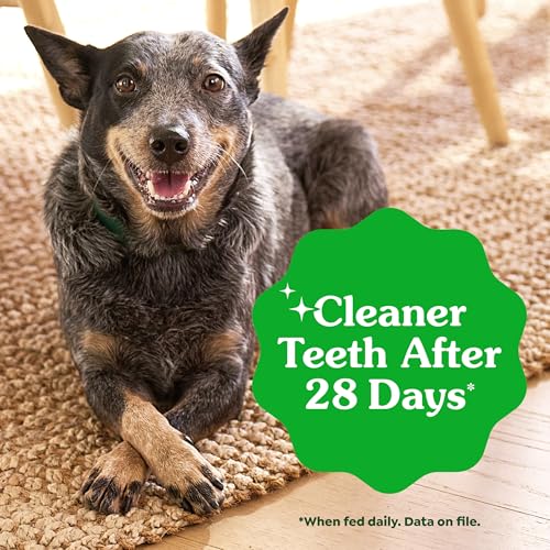 Greenies Large Natural Dental Dog Treats, Original Flavor, 24 Count | Veterinarian-recommended, supports oral health & freshens breath, clean to gumline, for dogs 50-100 lbs, chicken flavor
